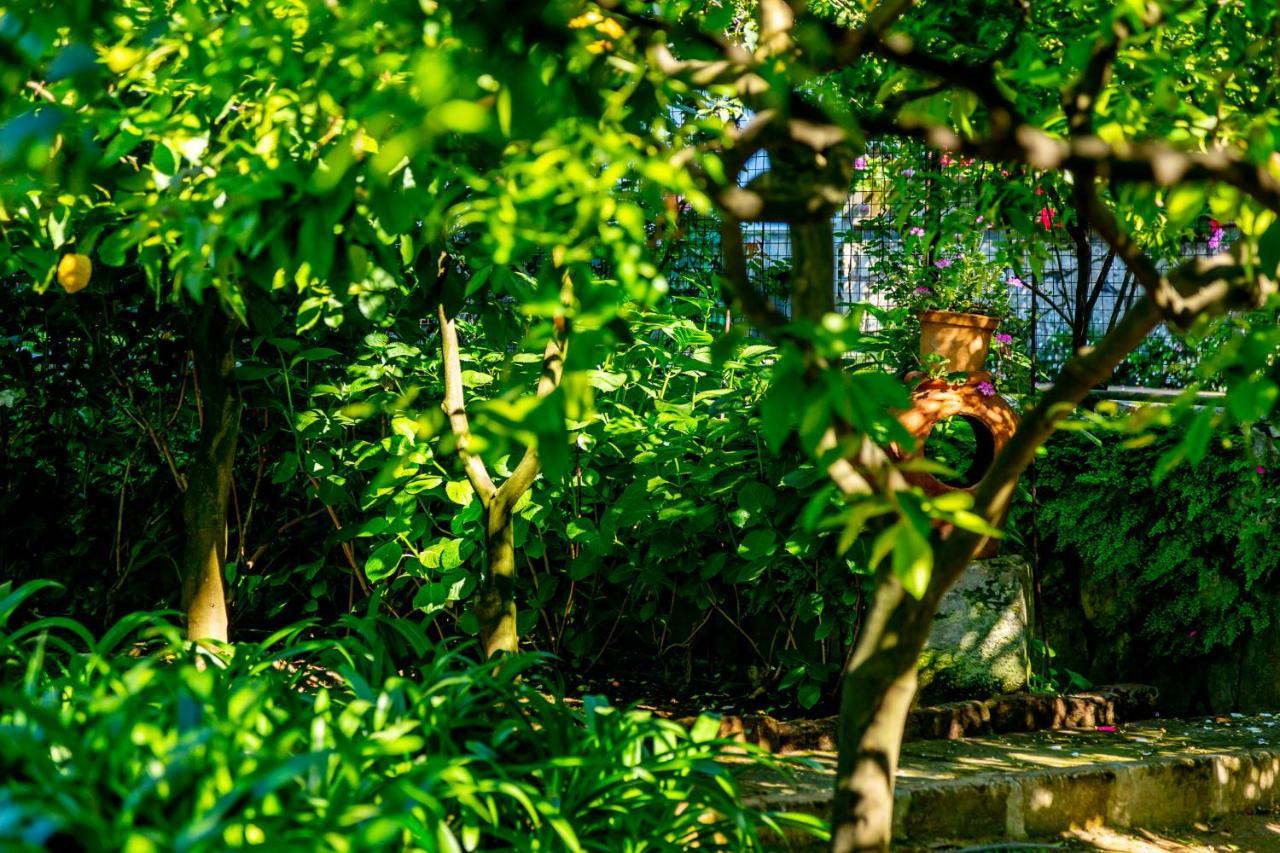 Villa Donna Elisa Península Sorrentina